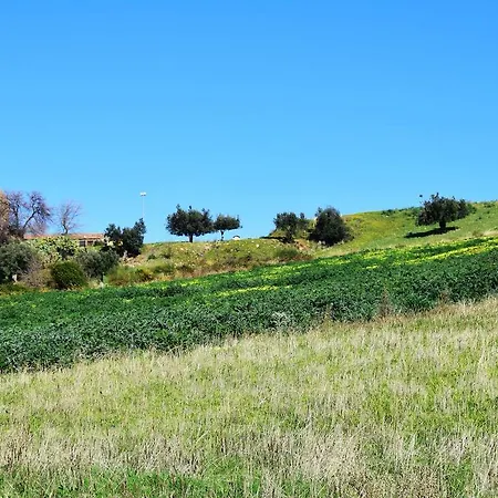Palazzo Madeo - Residenza D' Epoca Crosia