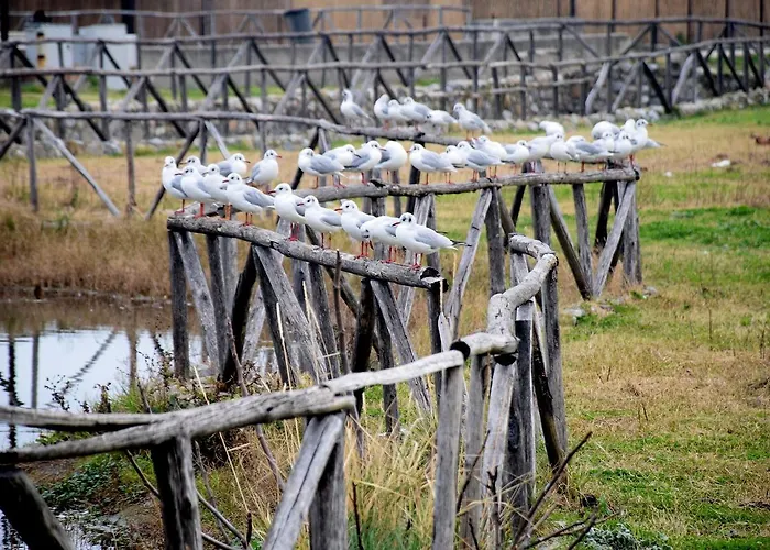 Palazzo Madeo - Residenza D' Epoca Alojamento de Acomodação e Pequeno-almoço Crosia